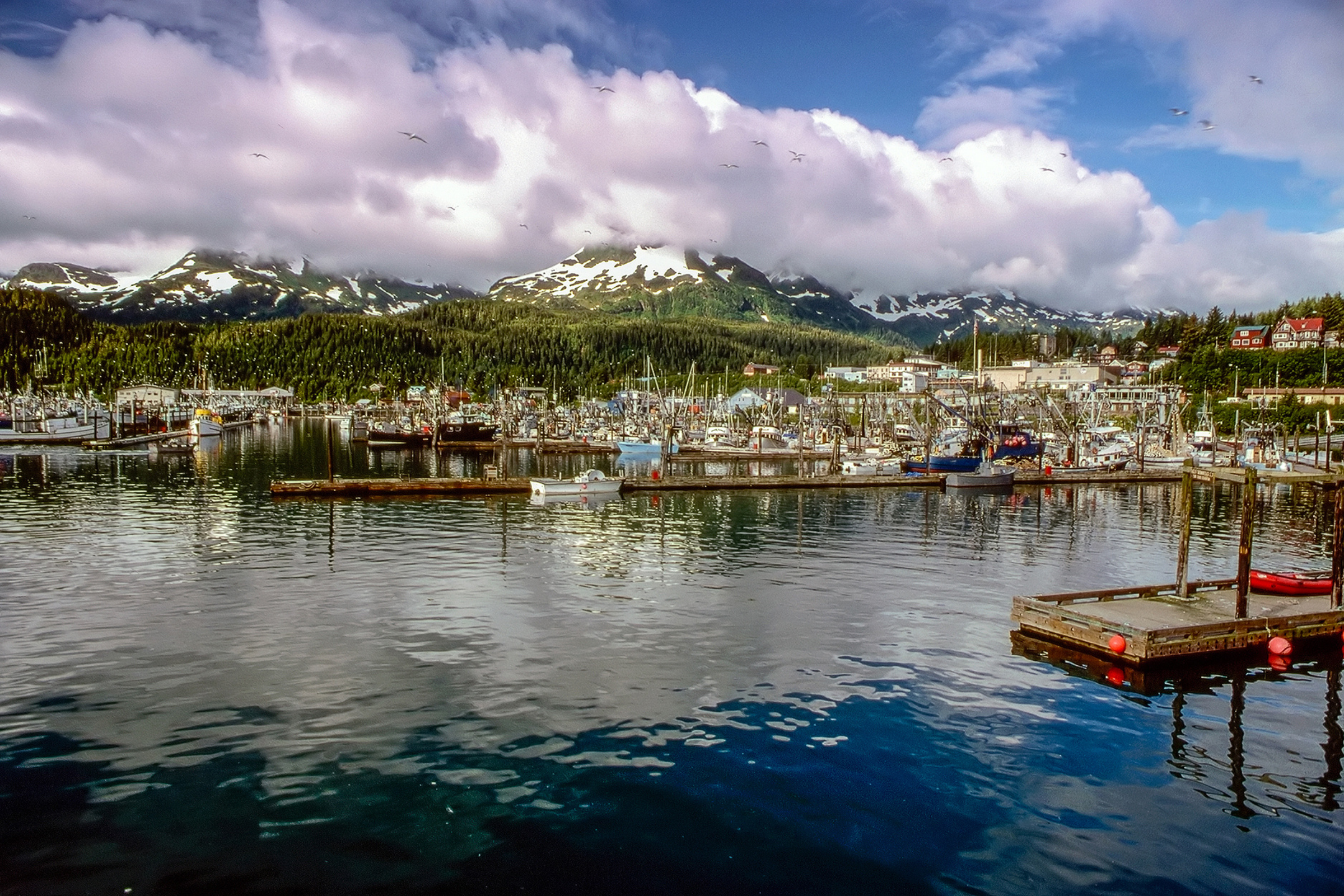 cordova, alaska 01.webp